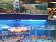 -阿伟海鲜楼·福建菜(延寿店)
