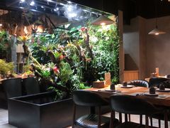 大堂-森味薪火烧•烧鸟居酒屋•日本料理(望京店)