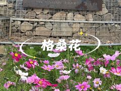 -金鸡山公园