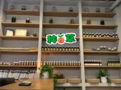 -芳香乐府疗愈空间·SPA·冥想