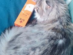 -佳怡动物医院·平价24小时·猫专科骨外科