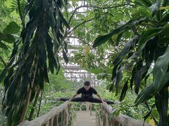 -南山植物园