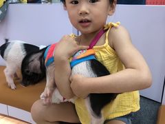 -猪盟咖啡店(玖洲道店)