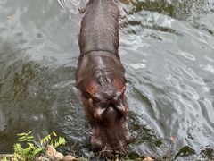 -海南热带野生动植物园
