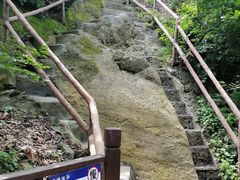 -天女山森林公园