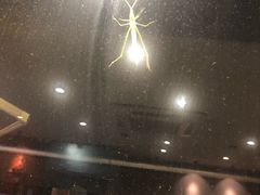 -川香煲(茅台路店)