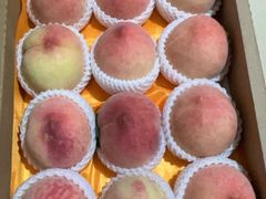 -老袁家蜜桃农场·阳山水蜜桃