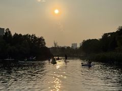 -新江湾城公园