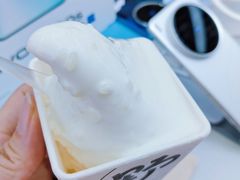 -野人先生Gelato(上海长宁龙之梦店)
