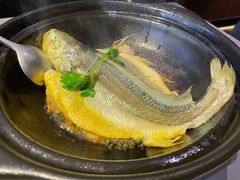 原汁原味焗黄花鱼-八月小厨· 湛江风味粤菜