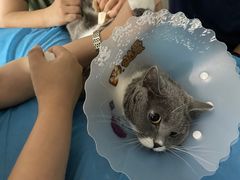 -达爱动物医院·犬猫分区·CT·复杂眼科(远洋山水分院)
