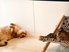 -伍湛记 · 广州老字号(龙津中路店)