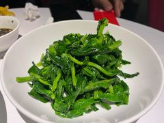 五粮液嫩豆苗-玫瑰厅上海菜(兴国路店)