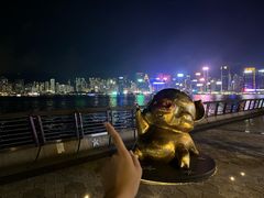 -星光大道