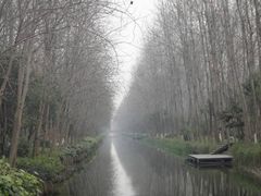 -合肥滨湖国家森林公园