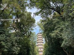 -灵谷景区