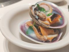 -青蓬蒸汽海鲜·深圳老字号·团建聚会(壹方城店)