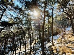 -阳台山自然风景区