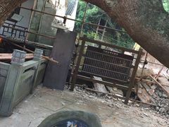 -普陀山慧济禅寺