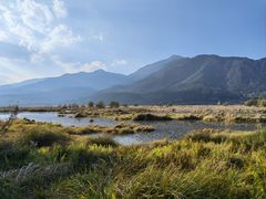 -腾冲北海湿地