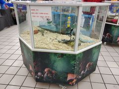 -欧尚超市苏州店停车场(金鸡湖路店)