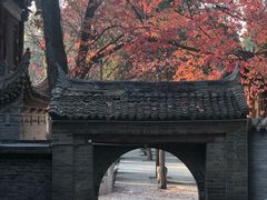 -兴教寺