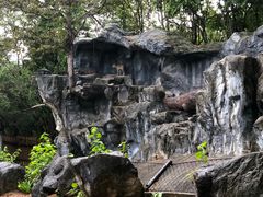 -清迈夜间动物园