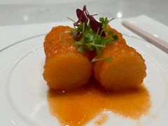 -丁老爷子苏香圆