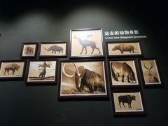 -大庆市博物馆