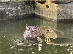 -宁波野生动物园