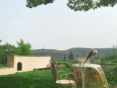 -龙坞茶村
