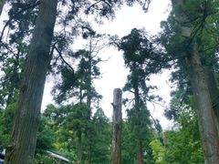 -东天目山风景区