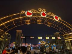 -武汉知音号