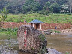 -广州市石门国家森林公园