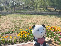 -北陵公园