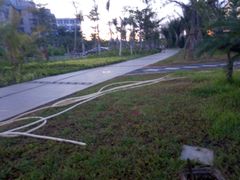 -金鸡岭桥头公园