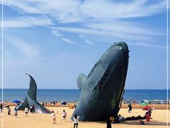 -烟台金沙滩海滨公园