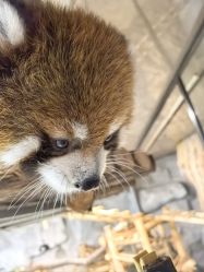 -Zoolung Zoolung动物主题公园(海信广场店)