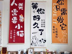 -美迦爱-牙专科·兔科·骨科诊疗中心(北苑店)