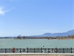 -野鸭湖国家湿地公园