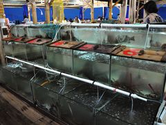 -罗源湾8号渔排