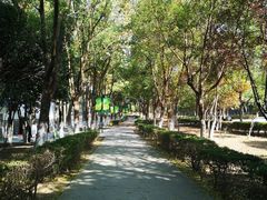 -葛仙湖公园