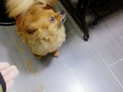-A+摄影