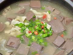 -农乐园食府(梅城镇店)