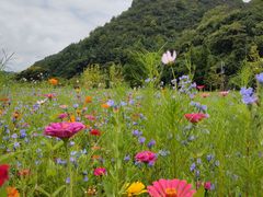 -贵阳市花溪国家城市湿地公园
