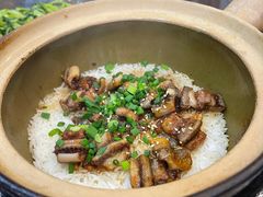 -红星光发煲仔饭(文海店)