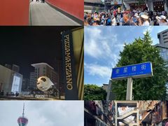 -成都大熊猫繁育研究基地