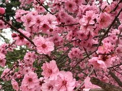 -河南省黄河迎宾馆