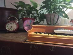 -百好乐宠物友好餐厅(朝外大街店)