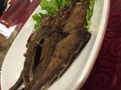 -奥利加尔大酒店-中餐厅